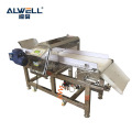 Metal Detector Conveyor